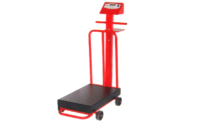 Trolley Scales